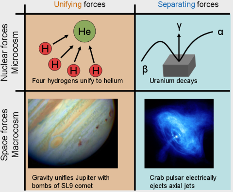 The four forces of physics