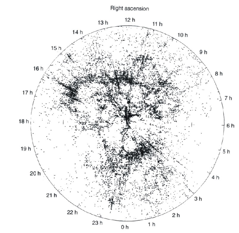 Large‑scale structure of the Universe